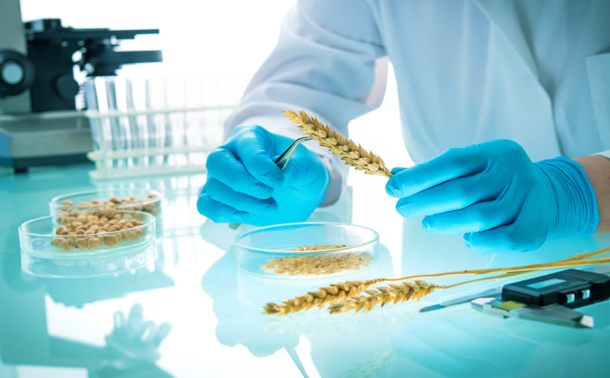 Grain Quality Lab